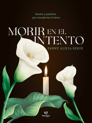 cover image of Morir en el intento